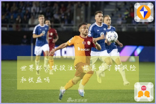 世界杯买球投注：你真的了解风险和收益吗