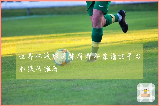 世界杯滚球买球有哪些靠谱的平台和技巧推荐