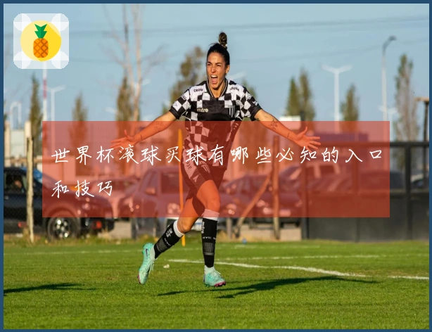 世界杯滚球买球有哪些必知的入口和技巧