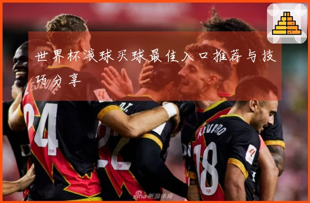 世界杯滚球买球最佳入口推荐与技巧分享