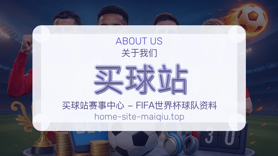 关于 买球站 团队与服务